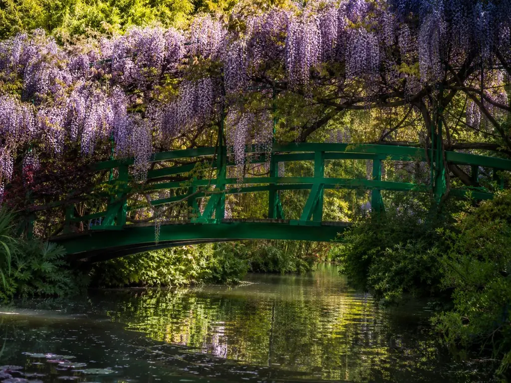Japanische Brücke und Glyzinien am Wassergarten Monets in Giverny